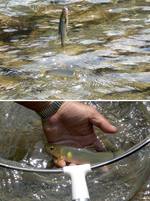 ファイル 20-2.jpg